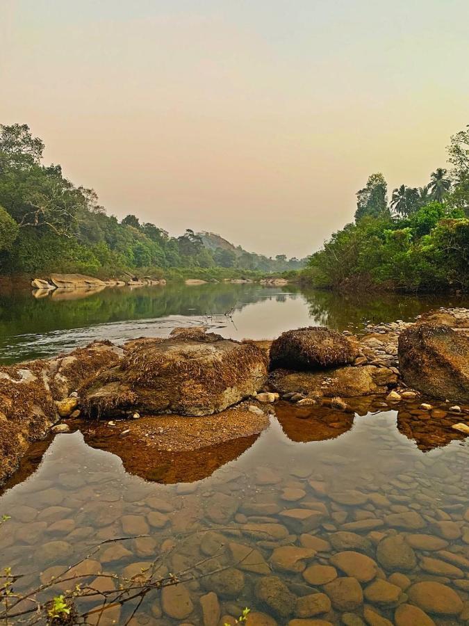 Beautiful Farm House & Villa - Monappa Estate - Top Rated Udupi Ngoại thất bức ảnh