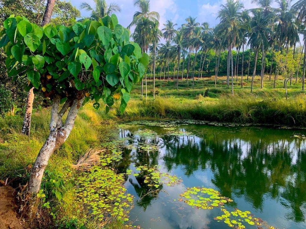 Beautiful Farm House & Villa - Monappa Estate - Top Rated Udupi Ngoại thất bức ảnh
